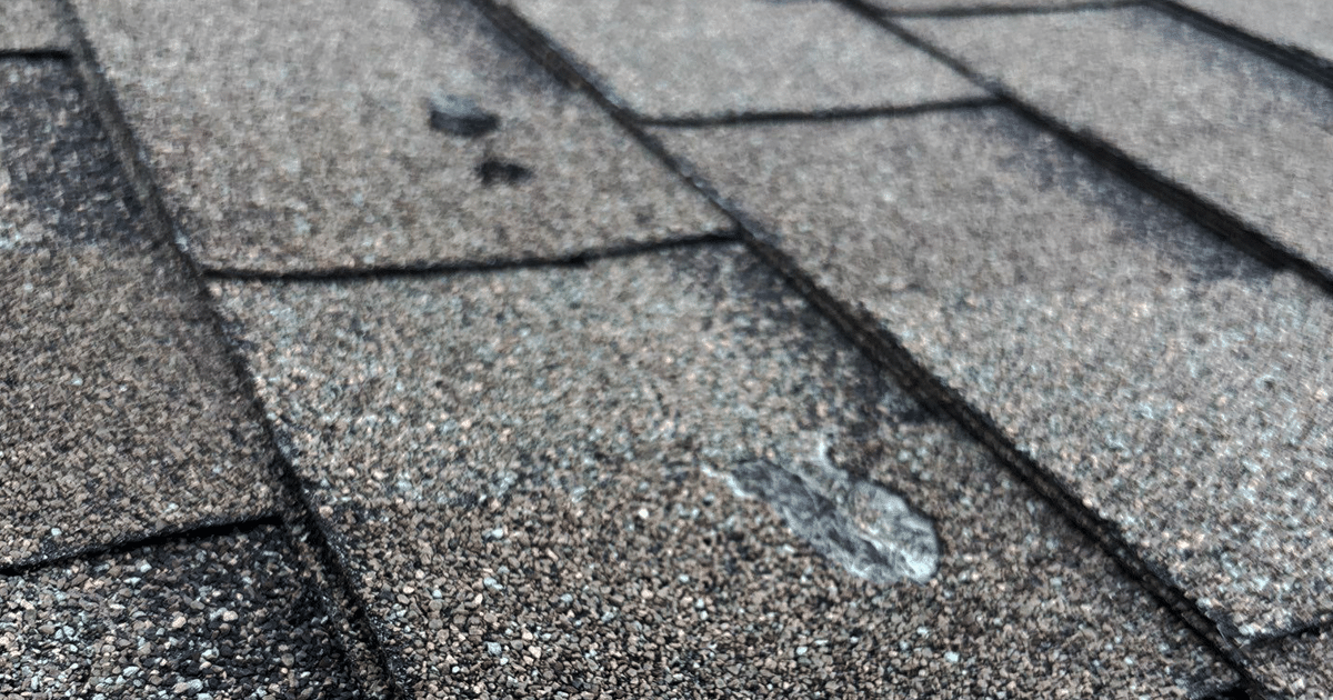 A close-up view of hail damaged asphalt shingles reveals significant granule loss and visible cracking, indicating the need for immediate hail damage roof repair. This image highlights the importance of regular roof inspections for Texas homeowners to identify hail damage and prevent costly repairs.