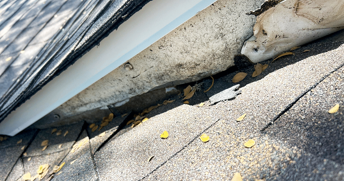 The Ultimate Guide to Roof Leaks in Texas Homes