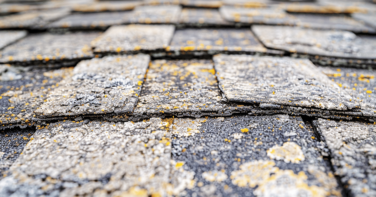 Cutting Corners on Roofing Materials: Long-Term Consequences