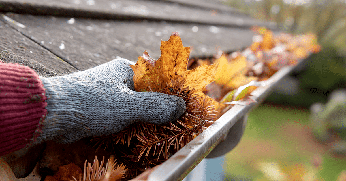 The True Cost of Neglecting Roof Maintenance in Austin, Texas