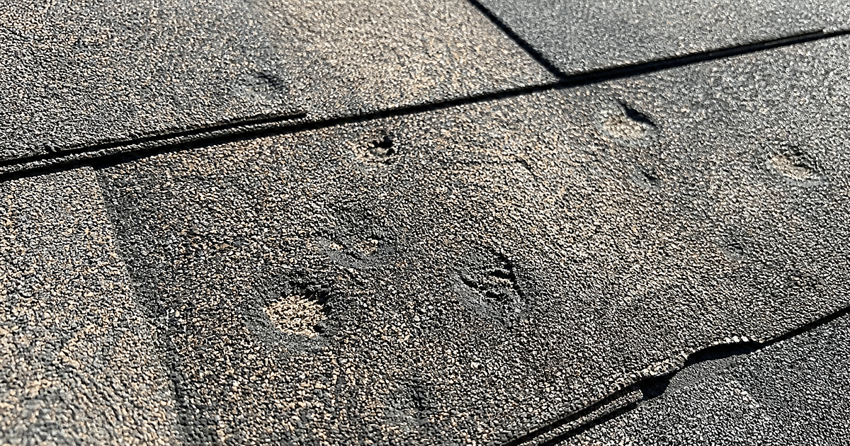 Close-up of hail damage on asphalt shingles in Southlake Texas showing granule loss and impact bruising